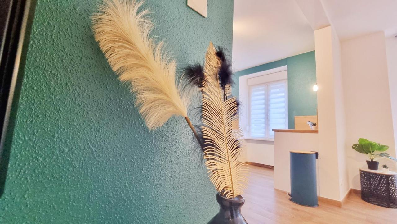 La Plume De Jais - Famille Ou Travail- Fibre - Confortable Сульц-О-Рен Экстерьер фото