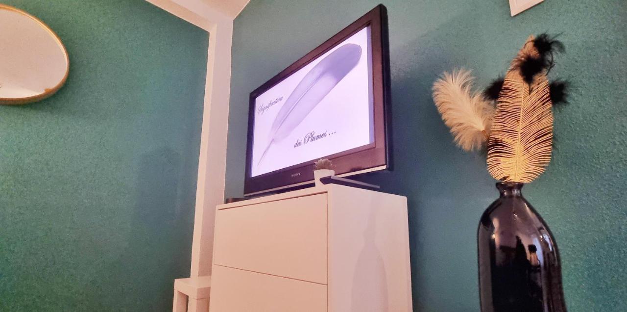 La Plume De Jais - Famille Ou Travail- Fibre - Confortable Сульц-О-Рен Экстерьер фото